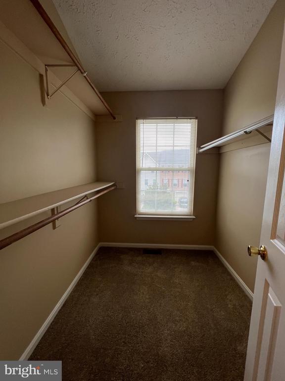 Building Photo - 5004 Doctorfish Ct