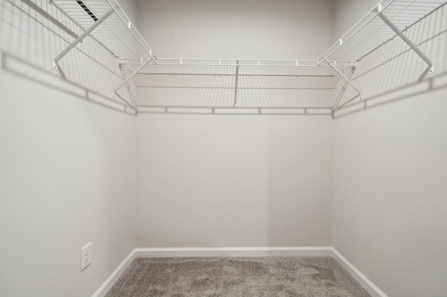 Building Photo - 5008 Winding Jordan Ln