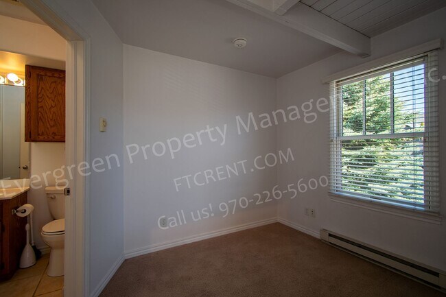 Building Photo - Spacious Loft in Old Town Fort Collins
