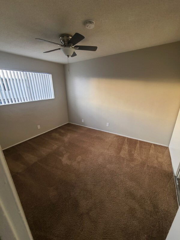 Building Photo - 11153 Ferina St