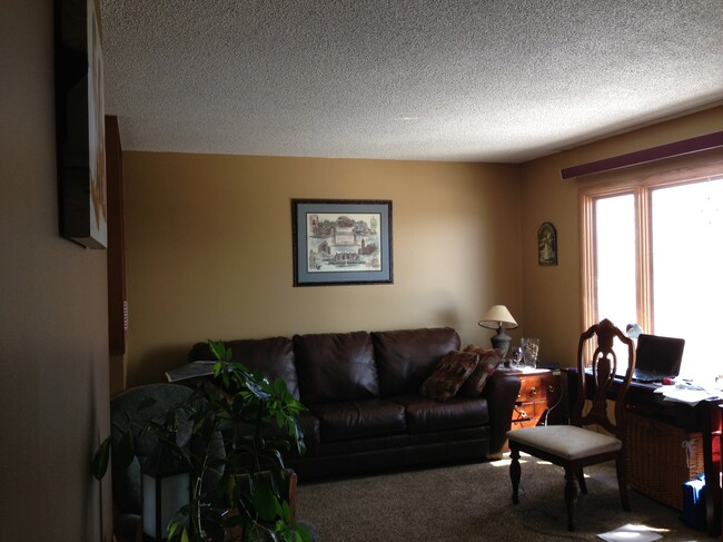 Living Room - 2206 Springvale Ct