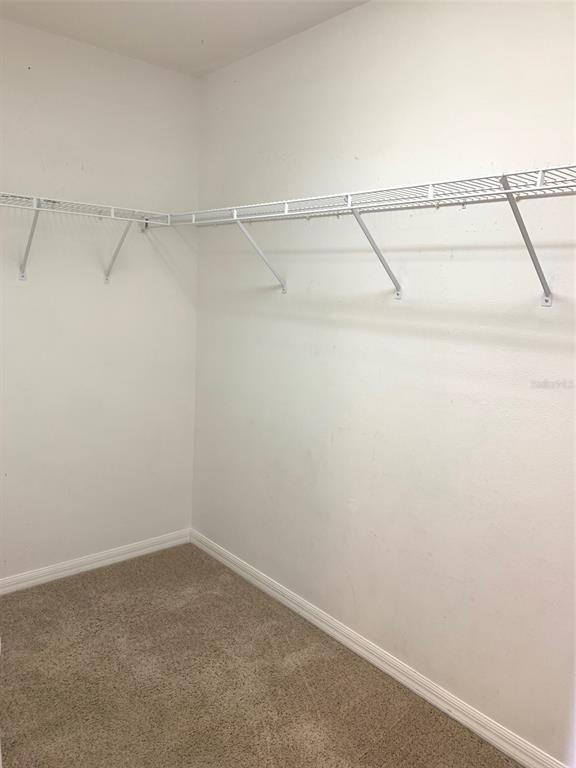 Building Photo - 2523 Abacus Ct