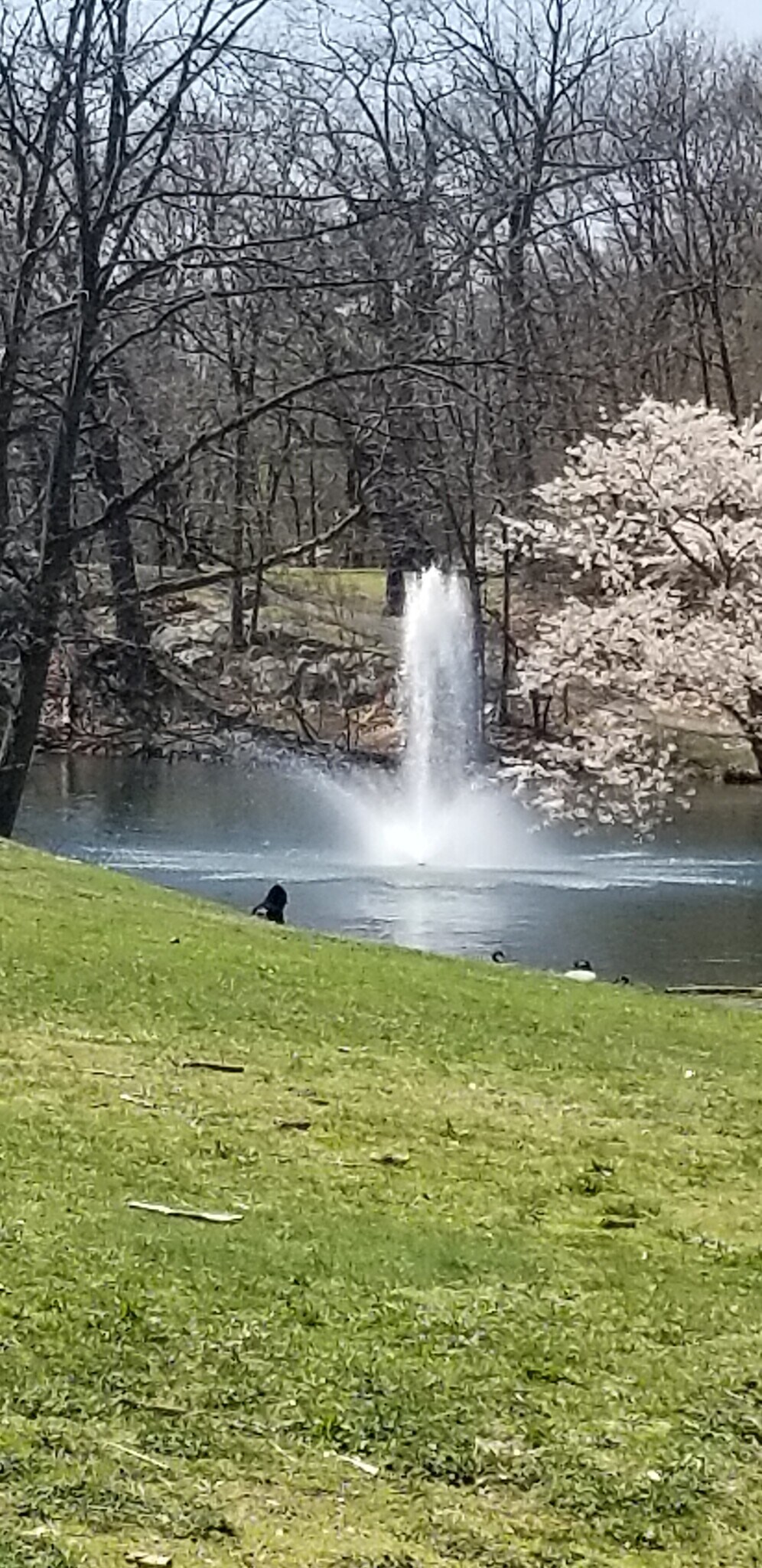 Beautiful Fellsmere Pond closeby! - 23 Desmond Rd