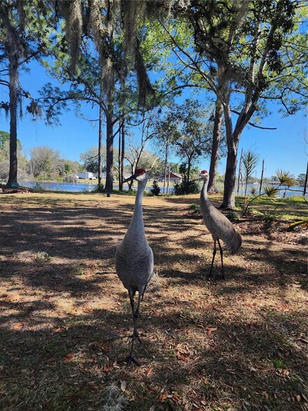 Building Photo - 2033 Quintilis Ct