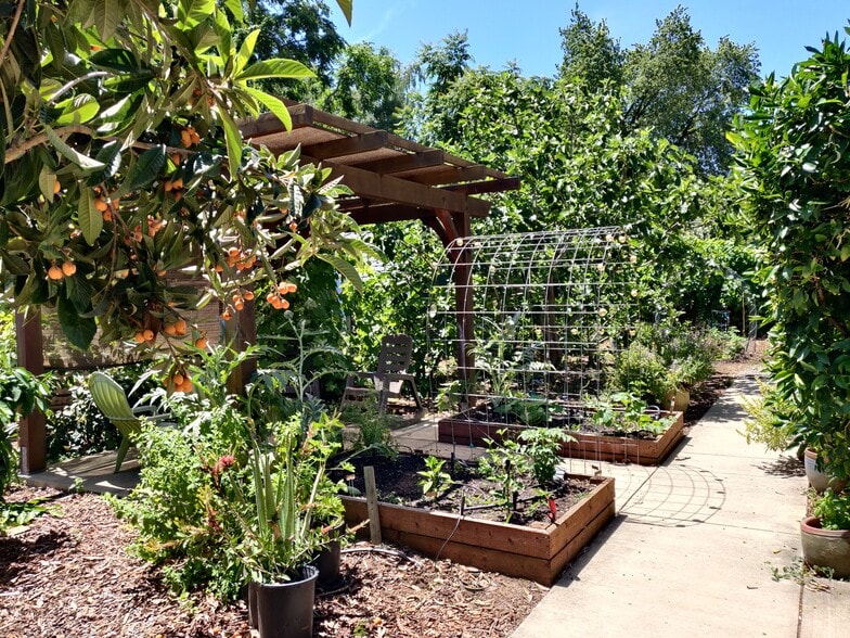 Shared gardens and pergolas. - 1130 Olive St