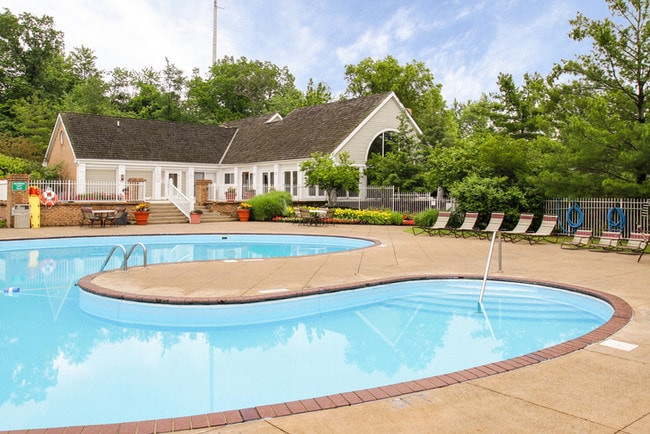 Plenty of Sun and Fun Poolside