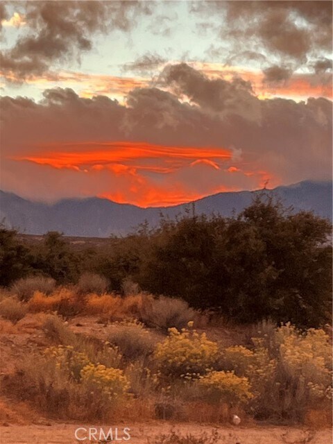 Building Photo - 9512 Mesquite St