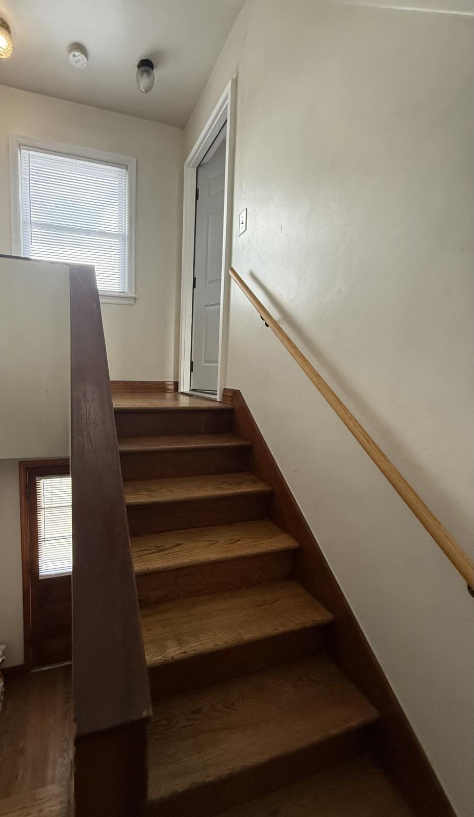 Building Photo - 1733 Bachmann Dr