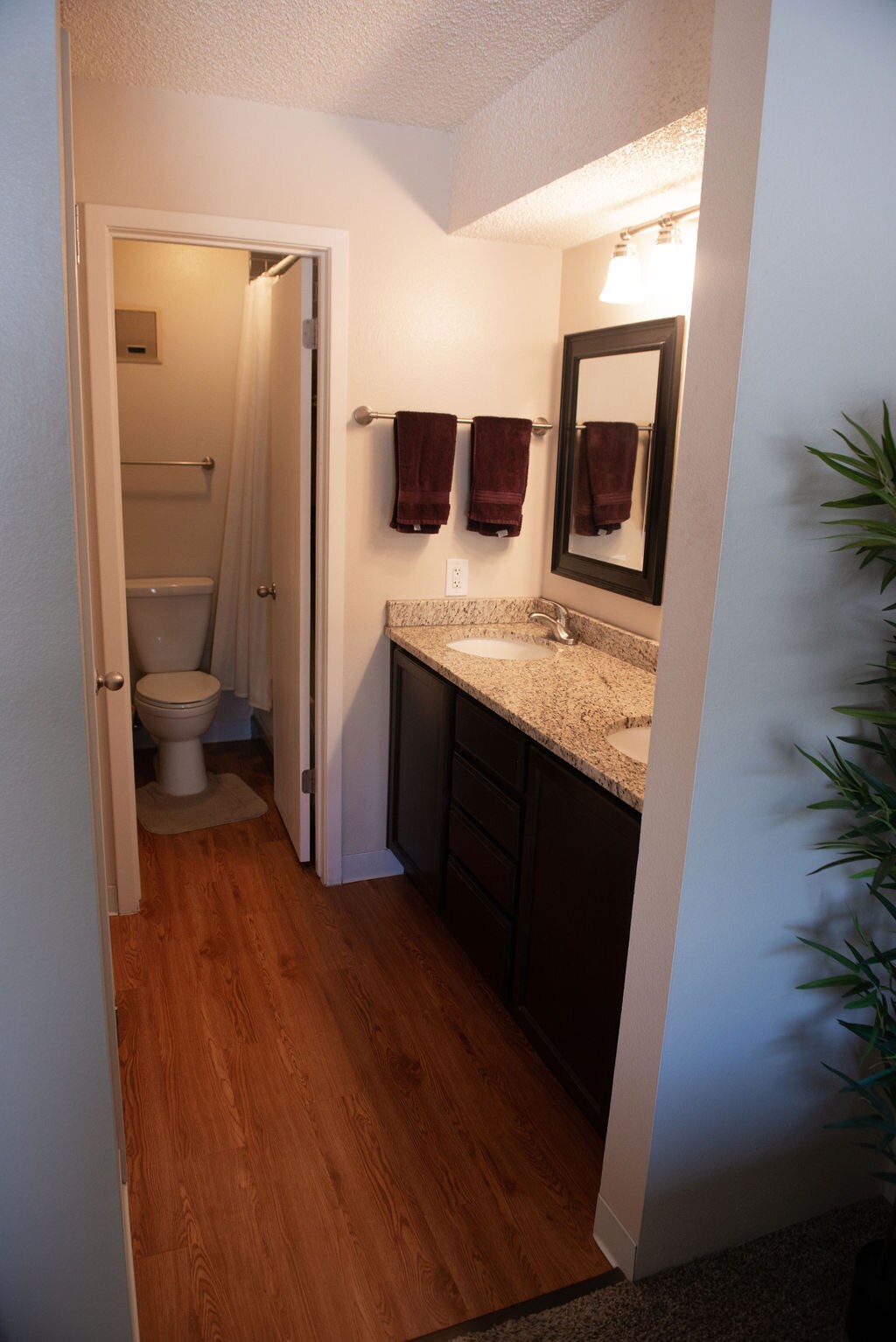 Building Photo - 534 E 7th Ave