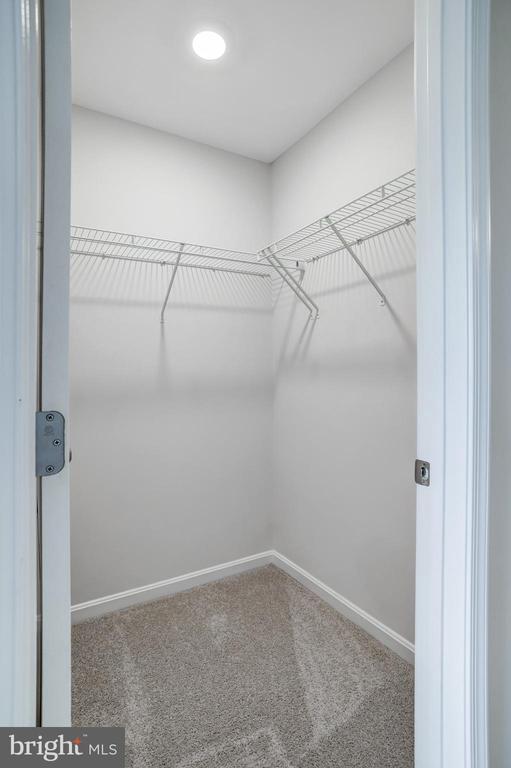 Building Photo - 721 Courier Ln