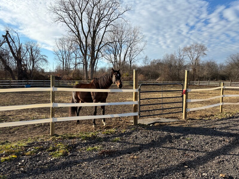 Building Photo - 5906 Little Turtle Trail