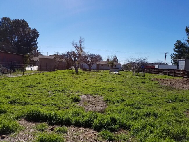 back yard - 33634 Colorado St