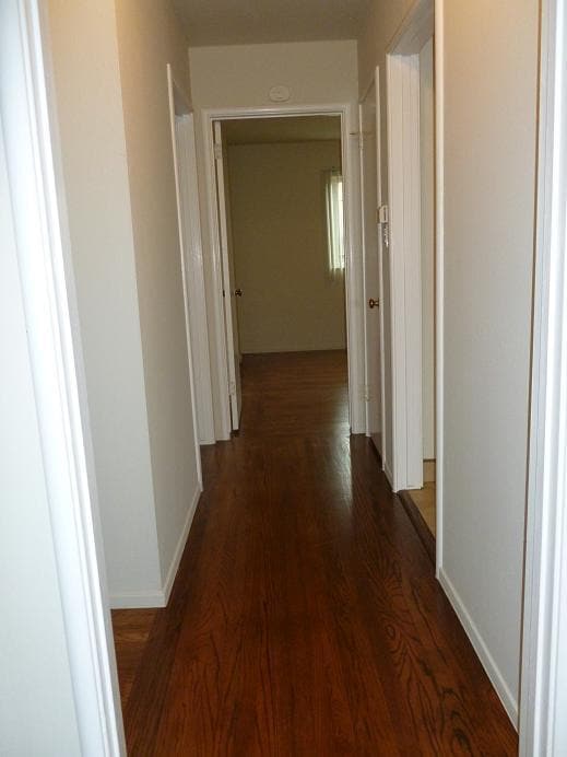 Building Photo - 437 Central Ct