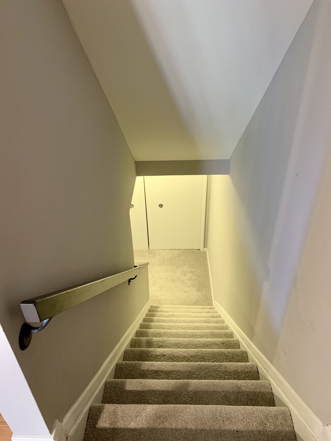 Basement Stairs - 7359 Hickory Log Cir