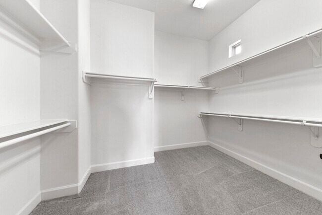 Building Photo - 3319 Bingham Manor Ln