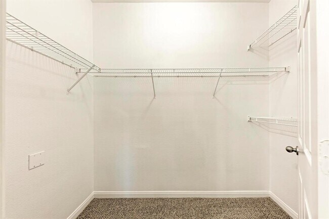 Building Photo - 2320 Gracy Farms Ln