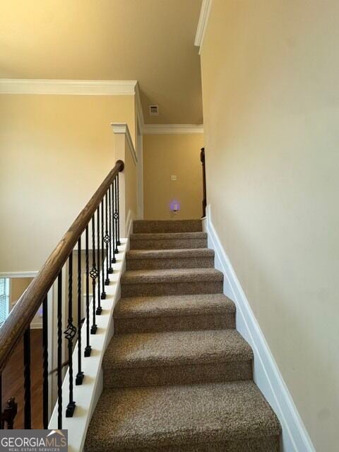 Building Photo - 320 Homestead Cir