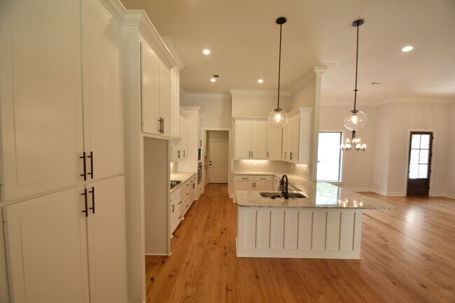 Building Photo - Beautiful 4 Bed 3 Bath home in Brandon!!
