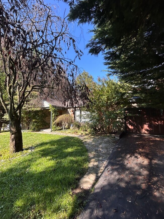 Building Photo - 3 Bed 1.5 Bath Home