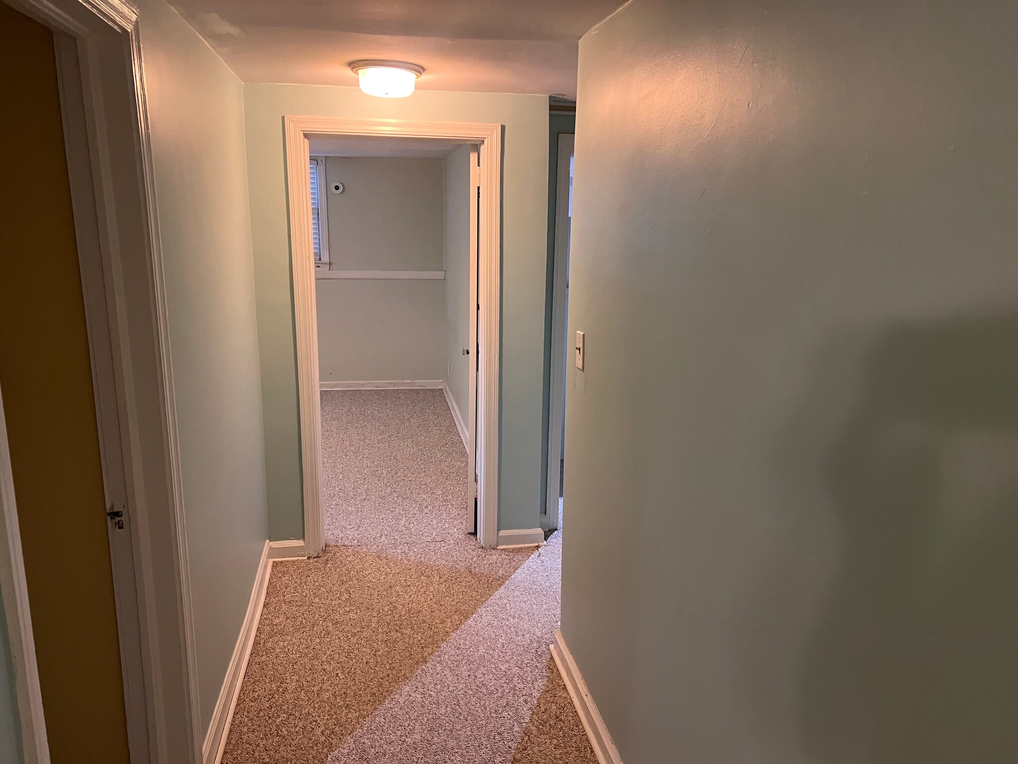 Hallway - 1377 Scott Blvd