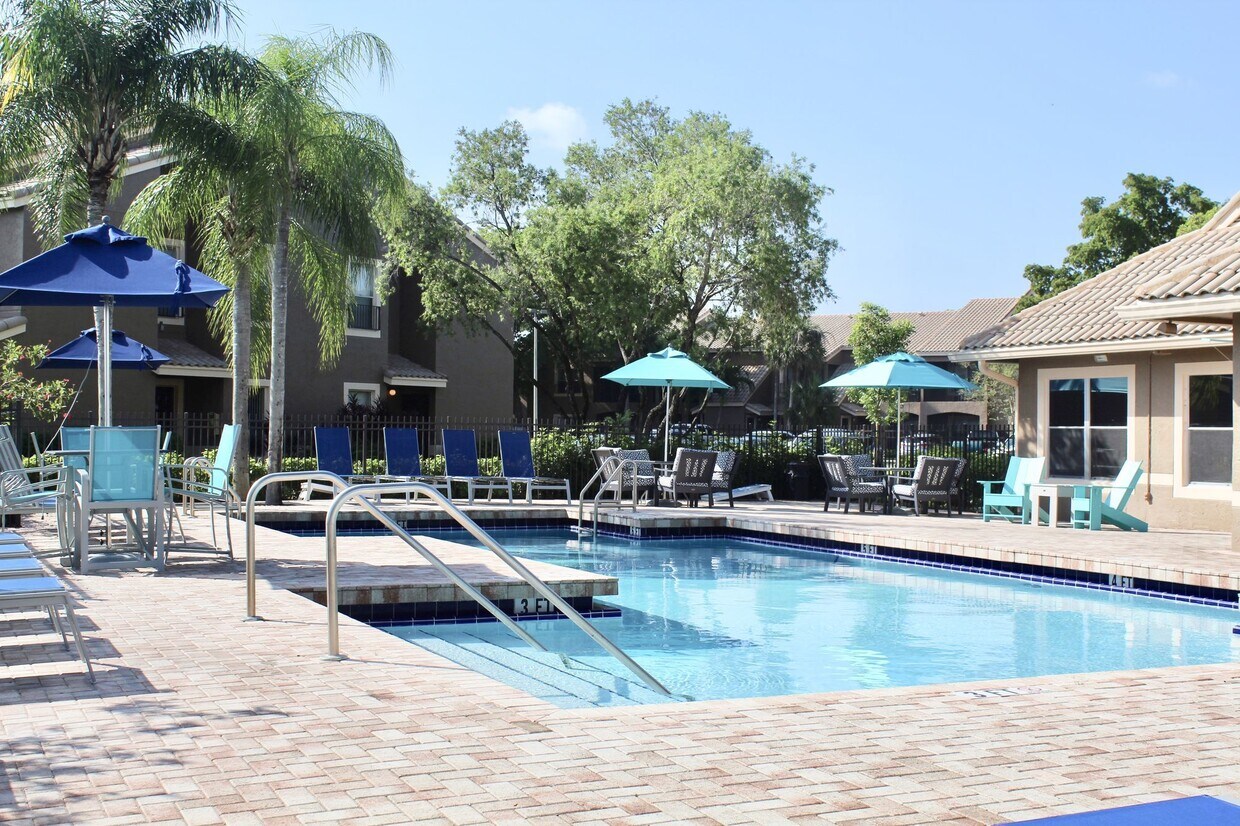Coral Falls Coral Springs Coral Falls Coral Springs
