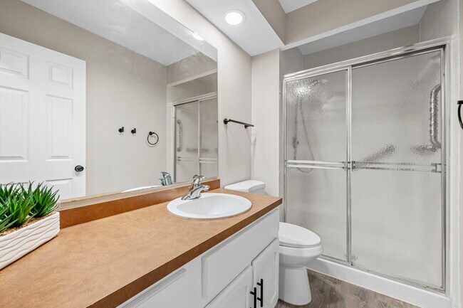 Building Photo - 3620 Cinnamon Tree Ln