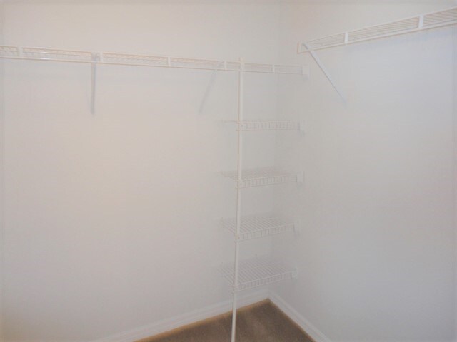 Building Photo - 6203 Venezia Pl