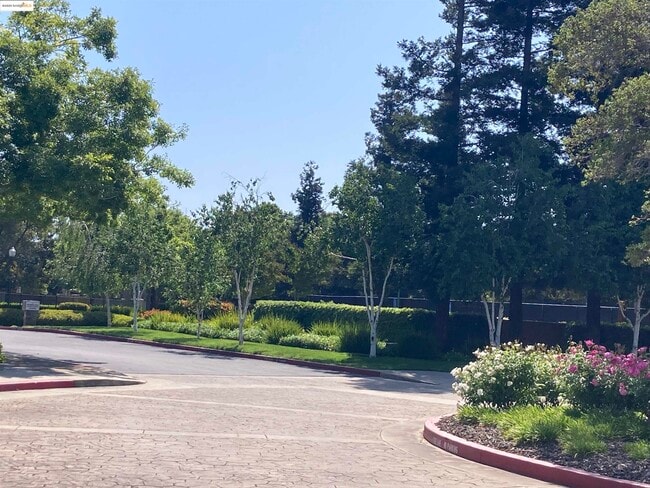 Building Photo - 10448 Almanor Cir