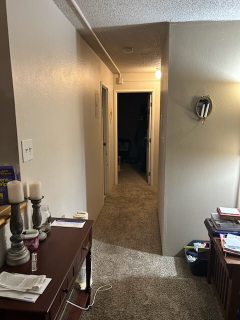 Hallway - 451 Golden Cir