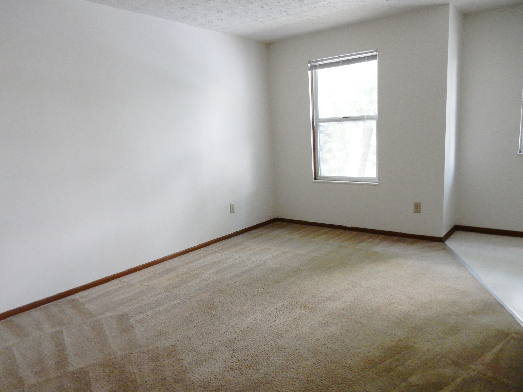 Building Photo - 67 Chittenden Ave