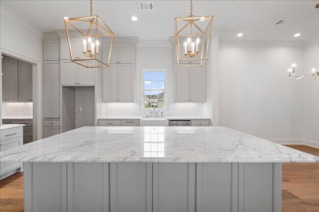Building Photo - Elegant new construction in The Lakes at Harveston