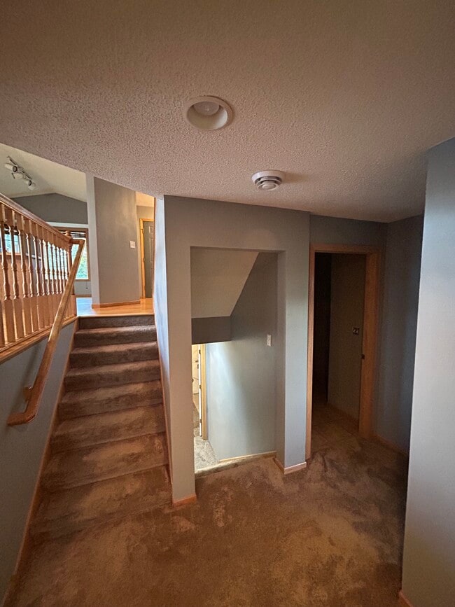 Building Photo - 345 Blue Spruce Ln
