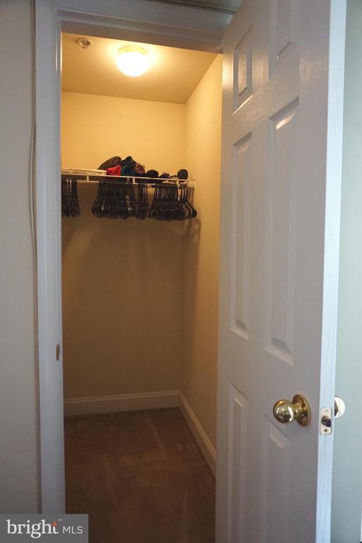 Building Photo - 901 Pine Forest Ln