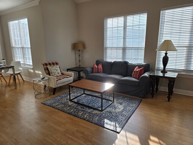 living room - 801 Luther St W