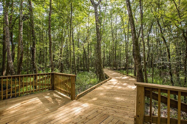 Building Photo - 64 Seastar Ct