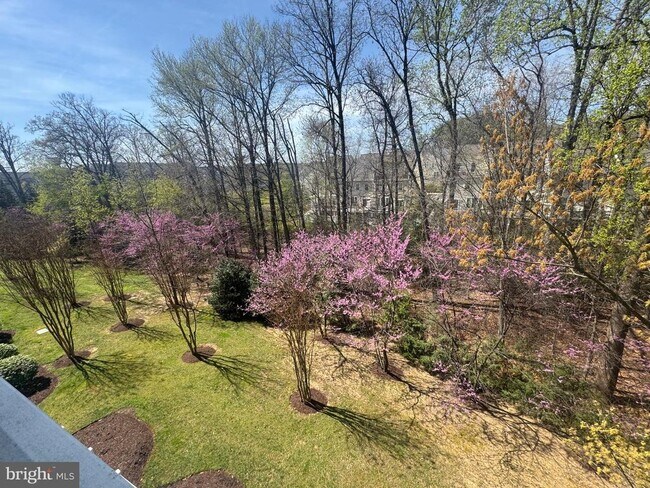 Building Photo - 2604 Chapel Lake Dr