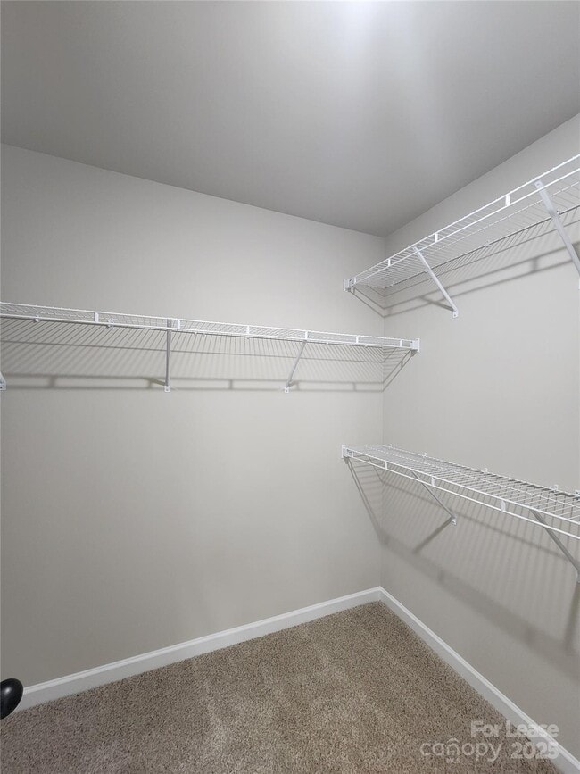 Building Photo - 12530 Susanna Dr