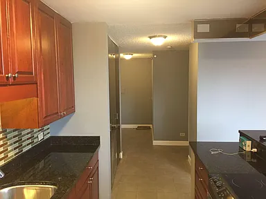 Building Photo - 1 bedroom in Chicago IL 60601