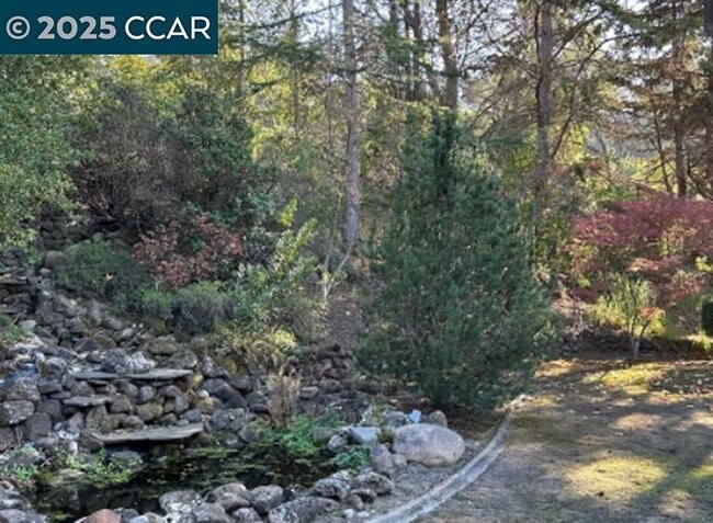 Building Photo - 224 Lasso Cir