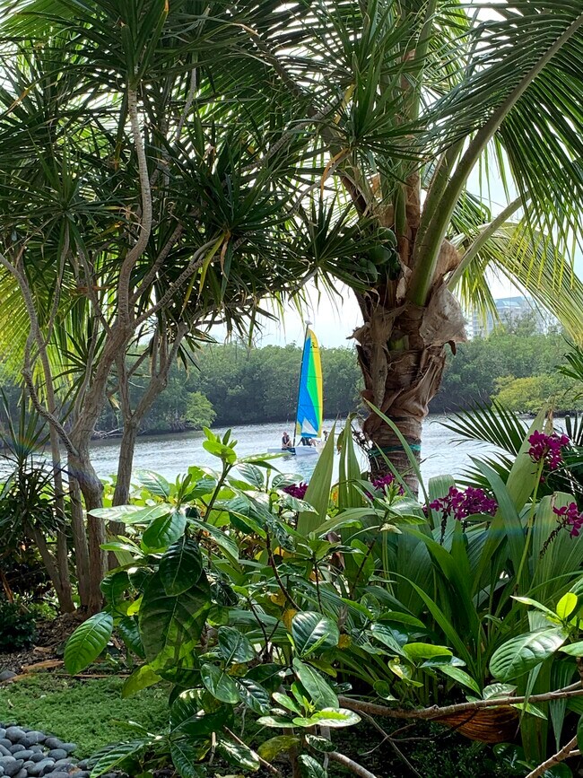 View from your secluded patio - 6520 N Ocean Blvd