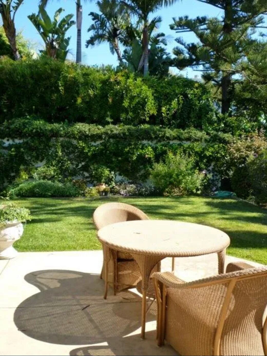 Back yard - 2290 Golden Gate Ave