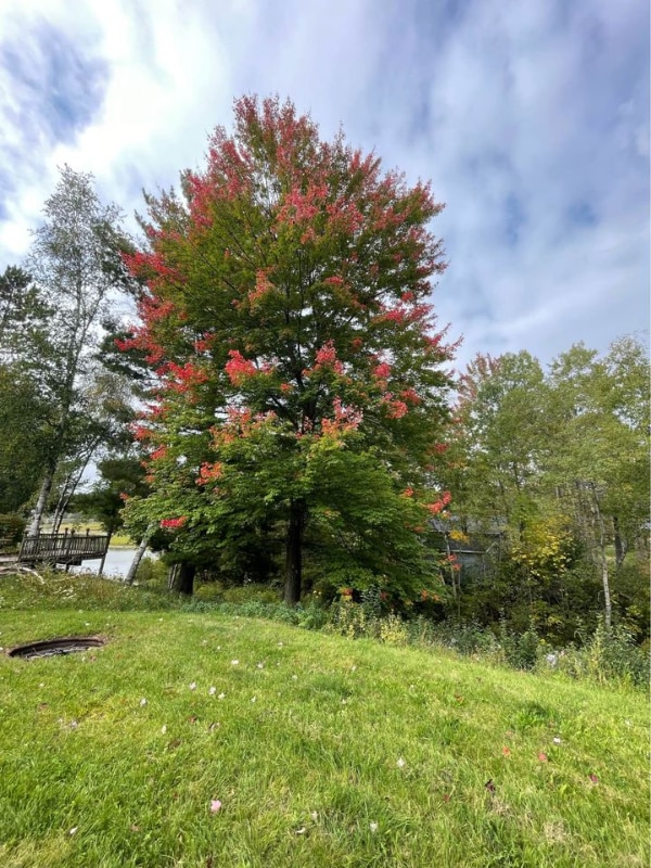 Building Photo - 1 Lakeview Dr