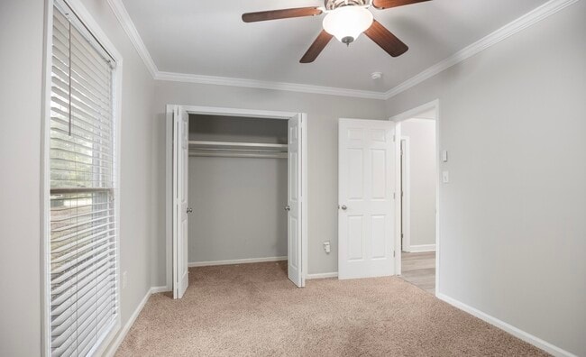 Building Photo - 1512 Maybrook Dr