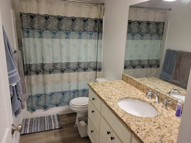basement full bath - 3011 South Red Pine Drive