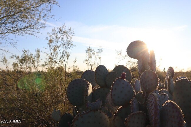 Building Photo - 10256 E Peralta Canyon Dr