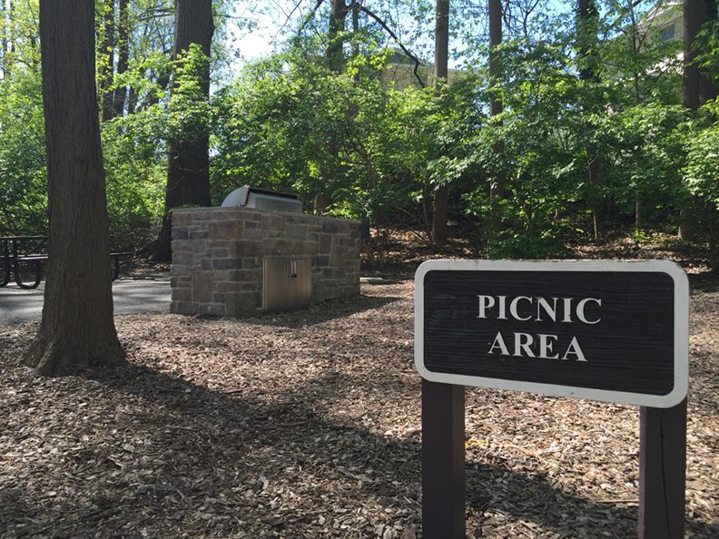 Outdoor grills and picnic area - 5225 Pooks Hill Rd