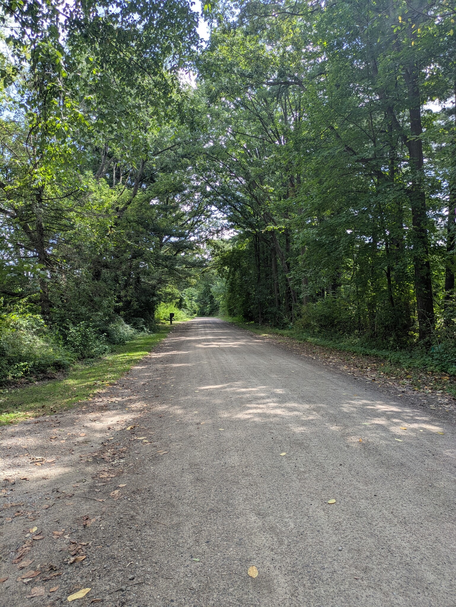 eastward street veiw - 11347 Ford Road