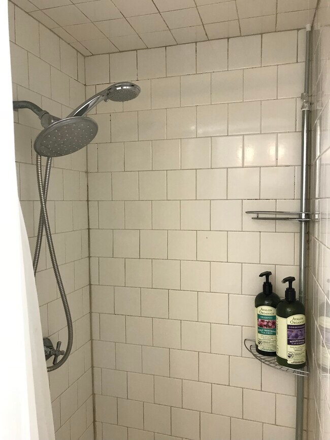 Roomy shower - 306 17th St