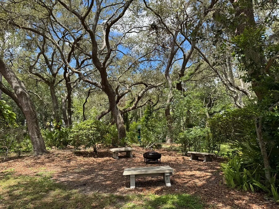 Nature Area - 13289 Arbor Pointe Cir
