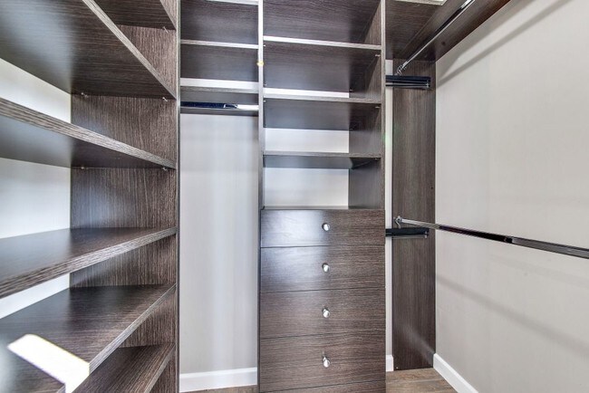 Bedroom #2 Closet - 100 W Tremont St